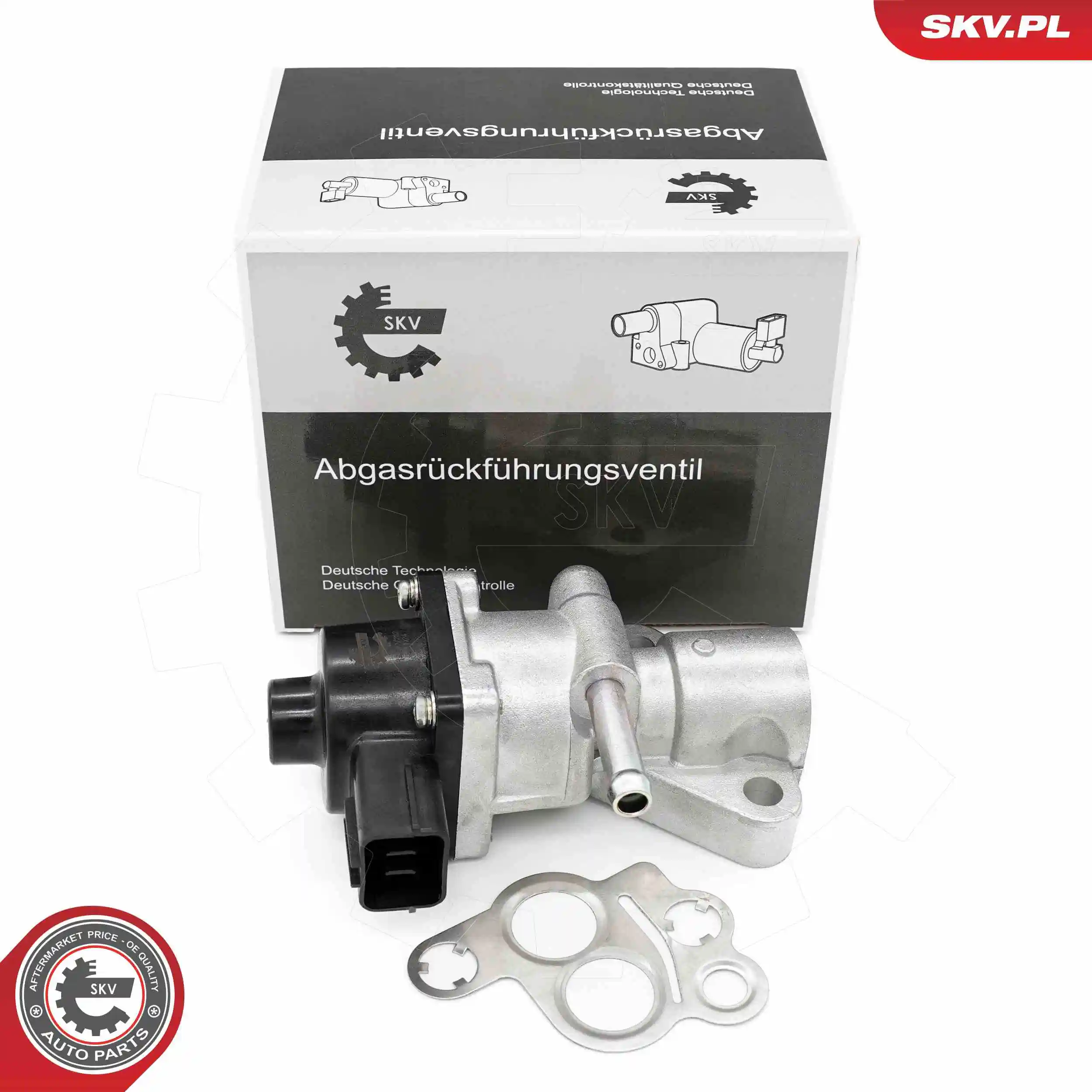 EGR Valve